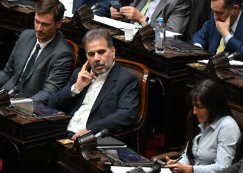 «El Gobierno se equivocó»: fuerte crítica del PRO a la gestión de Milei sobre el tema discapacidad