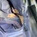 OPERATIVO: Goya: secuestraron un ternero que era transportado dentro de un auto