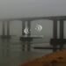 SERVICIO METEOROLÓGICO NACIONAL: ¡No se ve nada! Corrientes amaneció bajo una densa niebla