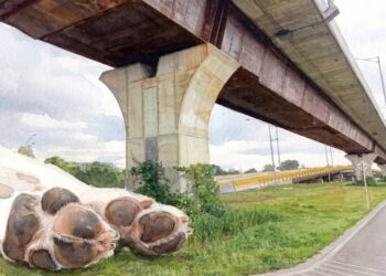 Habitantes de calle estarían lanzando perros desde un puente peatonal en el sur de Bogotá: alcalde de Kennedy confirmó denuncias