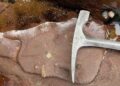 BÚSQUEDA DE VIDA EN MARTE: La NASA investiga rocas de 1.200 millones de años en Escocia