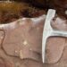 BÚSQUEDA DE VIDA EN MARTE: La NASA investiga rocas de 1.200 millones de años en Escocia