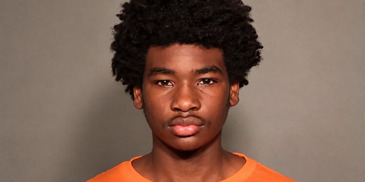 Condenaron a 20 años de prisión a un adolescente por matar a su hermana en Milwaukee