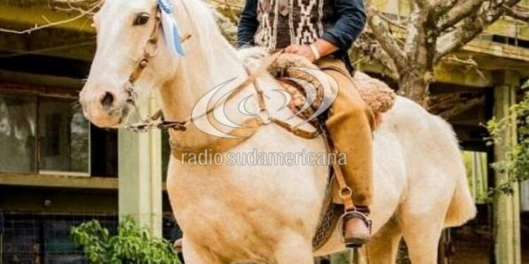 INVESTIGACIÓN: Mataron de un tiro a un caballo campeón: «Peregriné a Itatí con él»