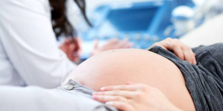 CORRIENTES: Medicina fetal: crearán una fundación para fortalecer la atención de embarazos de alto riesgo
