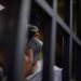 LEGISLATURA DE CORRIENTES: Propusieron bloquear las señales de celulares en las cárceles