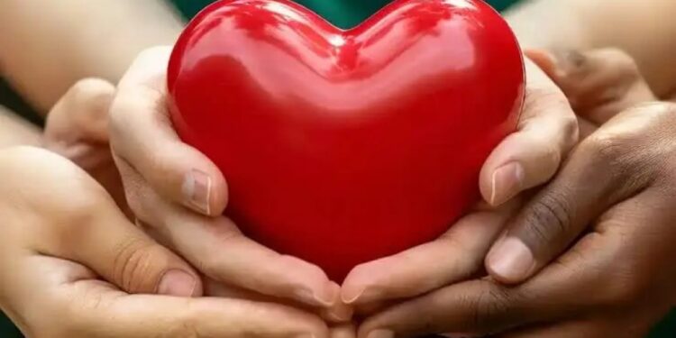 SALUD: Día Mundial del Corazón: claves de prevención y hábitos saludables