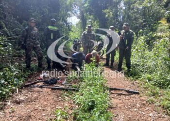 OPERATIVO: Tres detenidos por caza furtiva en la Reserva Biósfera Yabotí