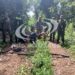 OPERATIVO: Tres detenidos por caza furtiva en la Reserva Biósfera Yabotí