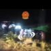 EN CURUZÚ CUATIÁ: Ruta 119: un auto despistó y volcó con un bebé entre sus ocupantes