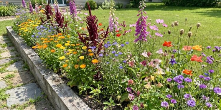 NUEVA TEMPORADA : Llegó la primavera: qué flores se pueden sembrar para renovar el jardín