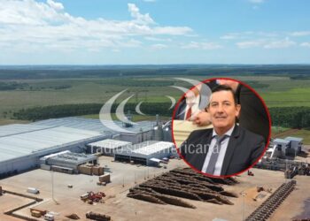LOGÍSTICA: «Si no tenemos competitividad, empiezan a cerrar empresas»