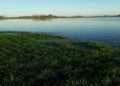 ALERTA: El Niño en el NEA: advierten sobre riesgos productivos y operativos para los cultivos