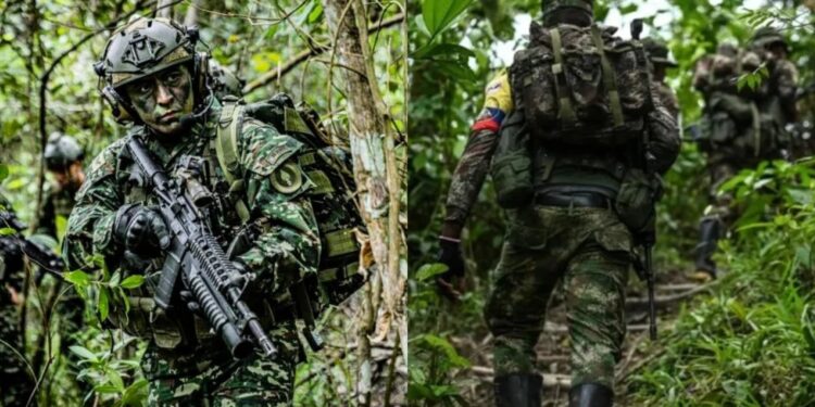 Ejército denunció que las disidencias se llevaron el cuerpo de un soldado en El Tambo: “Estas conductas constituyen crímenes de guerra”