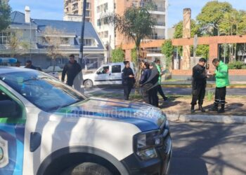 TENSIÓN EN MEDIO DEL PROCEDIMIENTO: Mal estacionada, sin papeles ni carnet: le secuestraron la moto y se puso violenta