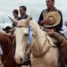 INVESTIGACIÓN: Mataron de un tiro a un caballo campeón en Concepción