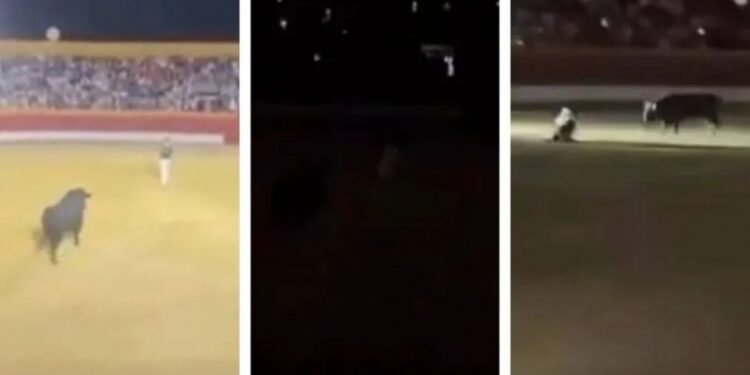 IMPACTANTE: ¡VIDEO! Se cortó la luz en plena corrida de toros, quedó solo y así fue embestido