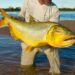 DIRECCIÓN DE RECURSOS NATURALES: Se levanta la veda extraordinaria sobre el Río Paraná en Corrientes