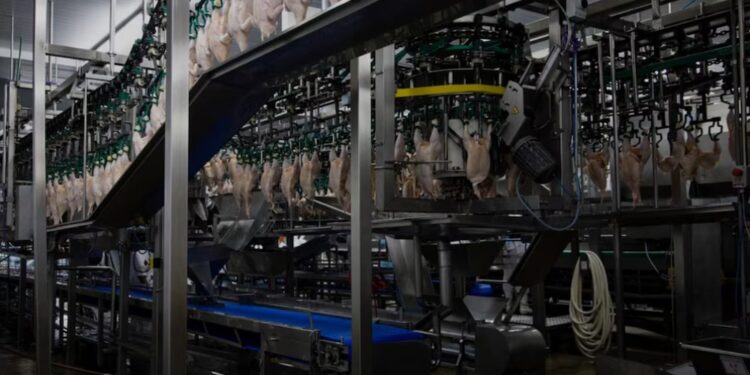 SE PROFUNDIZA LA CRISIS: Granja Tres Arroyos ofreció pagar parte de los salarios con pollos