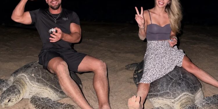 Investigan a dos influencers ucranianos tras montar una tortuga marina en una playa de Omán