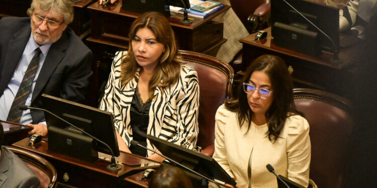 En medio de las críticas al proyecto oficial, el Senado debate la creación de una comisión por Malvinas