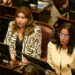 En medio de las críticas al proyecto oficial, el Senado debate la creación de una comisión por Malvinas