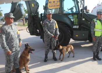 Huracán Polo: Guardia Nacional activa Plan DN-III-E en Baja California Sur