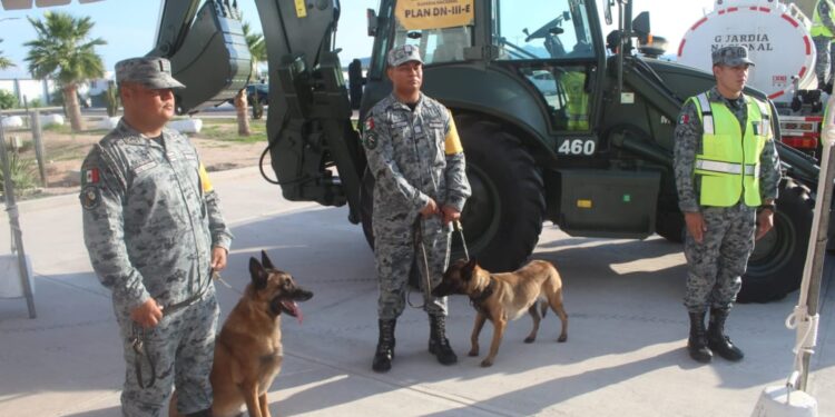 Huracán Polo: Guardia Nacional activa Plan DN-III-E en Baja California Sur
