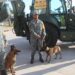 Huracán Polo: Guardia Nacional activa Plan DN-III-E en Baja California Sur