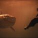 Qué ver en casa hoy: 6 grandes películas de tiburones disponibles en plataformas