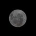 La región más misteriosa se convierte en la nueva meta de la carrera espacial: el polo sur de la Luna