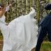 Un banquete de bodas terminó con una batalla campal y un «desahogo carnal» de la novia con un extraño