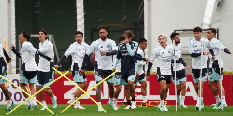 Las opciones que maneja Scaloni para el primer amistoso de la Selección, este miércoles ante Bolivia