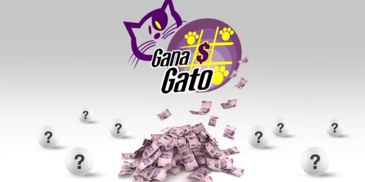 Lotería Nacional: todos los números ganadores del Gana Gato de este 26 de septiembre