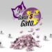 Lotería Nacional: todos los números ganadores del Gana Gato de este 26 de septiembre