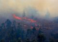 EN VIVO | Emergencia por el incendio forestal continúa en Villa de Leyva, Boyacá: el 50% de la conflagración ya está controlado