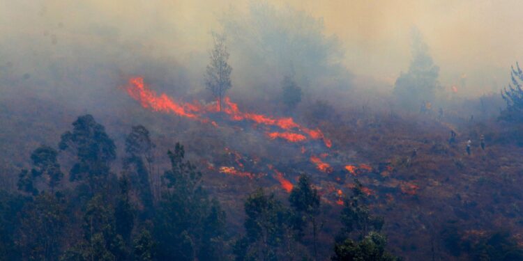 EN VIVO | Emergencia por el incendio forestal continúa en Villa de Leyva, Boyacá: el 50% de la conflagración ya está controlado