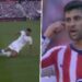 El fuerte cruce entre Cuti Romero y Bellingham en el clásico de Madrid y la acción que pudo ser expulsión: “Sos un llorón”