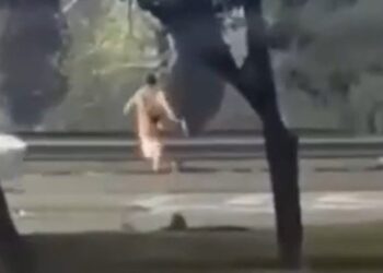 Un adolescente de 13 años fue atropellado mientras cruzaba corriendo una autopista: investigan si había cometido un robo