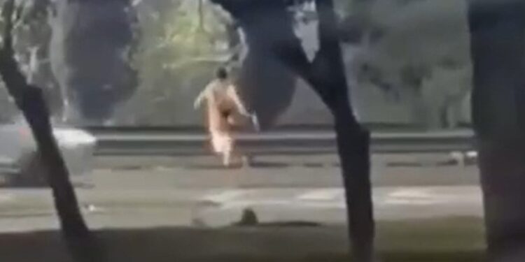 Un adolescente de 13 años fue atropellado mientras cruzaba corriendo una autopista: investigan si había cometido un robo
