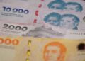 Aún no tiene diez años y fue furor en 2024: qué popular billete circula cada vez menos en la Argentina y el antecedente de 1969