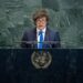 Milei viaja a New York para ratificar su compromiso con Malvinas, profundizar la relación con EEUU y defender el programa de ajuste