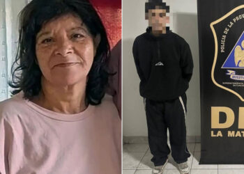 Se escondió en la casa de su novia tras atropellar y matar a una jubilada: lo detuvieron tras un seguimiento de cámaras