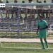 Video: el gol de arco a arco que hizo un pibe de Vélez en la Séptima