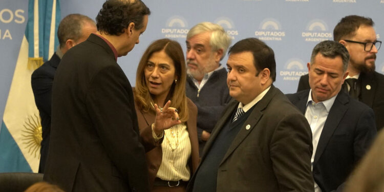 Escándalo en Diputados durante el debate de la Ley Malvinas: hubo forcejeos entre los legisladores e insultos, desde «cagón a vende patria»