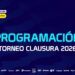 En medio de la Fecha FIFA: días y horarios para la fecha 11 del Torneo Clausura