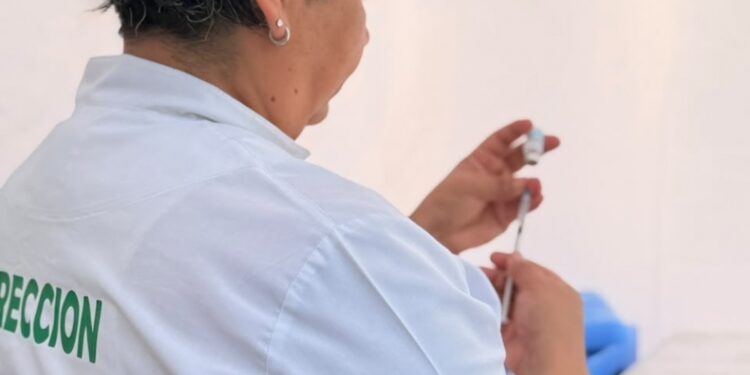 SALUD: Corrientes: continúa la vacunación contra el dengue en la plaza Vera