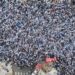FIN DE UNA ERA: Despedida del Capitán: abrieron las puertas del Monumental y los hinchas empiezan a ubicarse en las tribunas