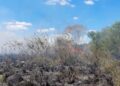 FUEGO CONTROLADO: Incendio de pastizales puso en riesgo a cinco viviendas en Riachuelo