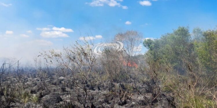 FUEGO CONTROLADO: Incendio de pastizales puso en riesgo a cinco viviendas en Riachuelo